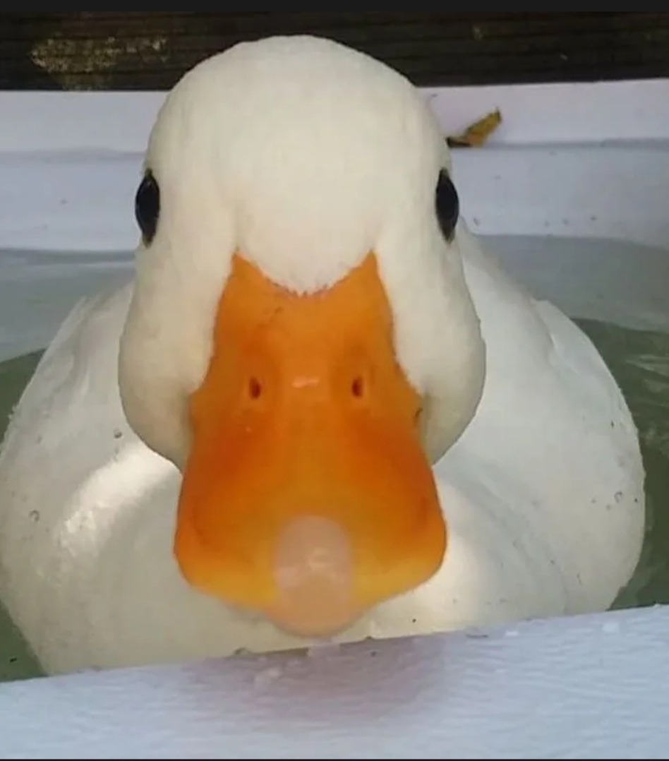 Christ - Puidoux - Vaud | Club Echangiste