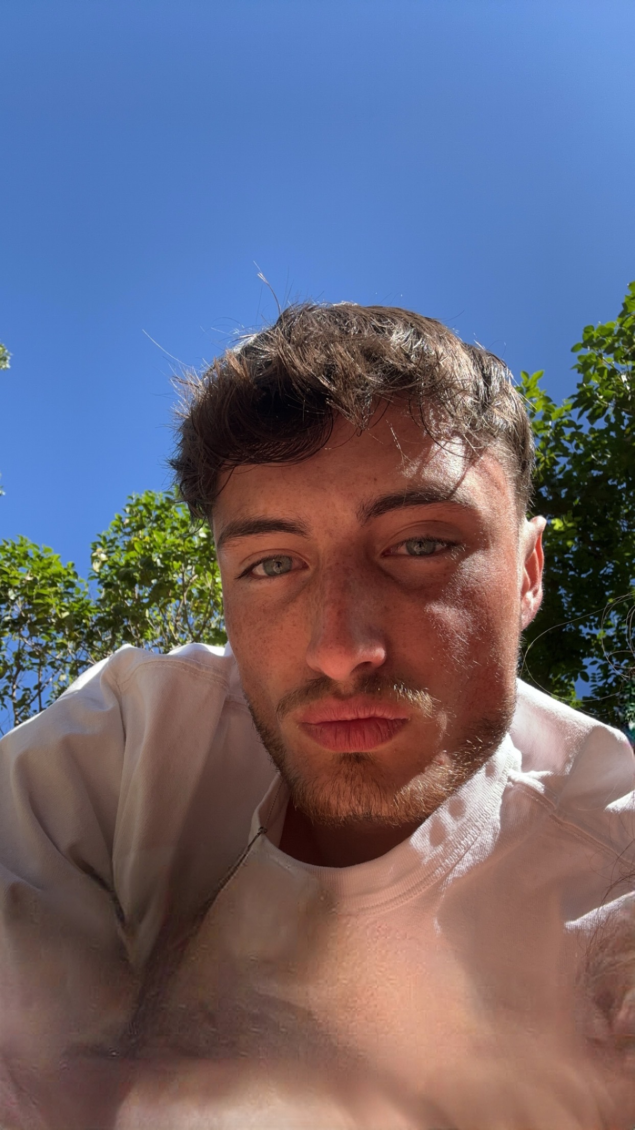 Stevie - Riedstätt - Berne | Club Echangiste