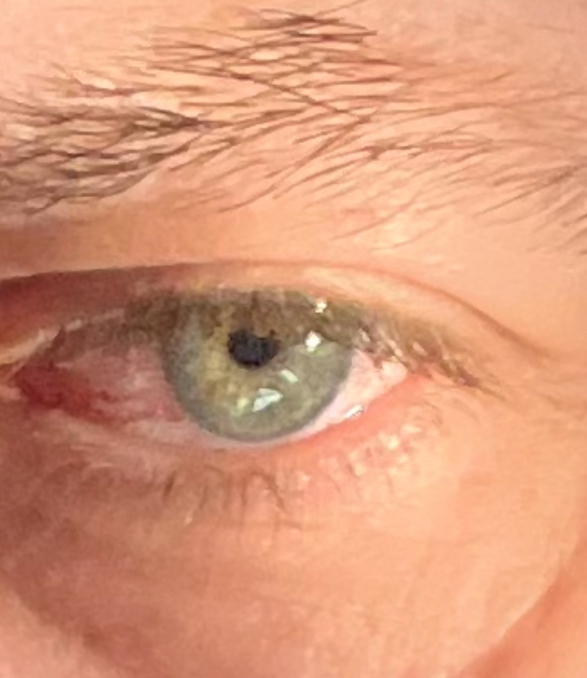 Sloan - Oron-la-Ville - Vaud | Club Echangiste