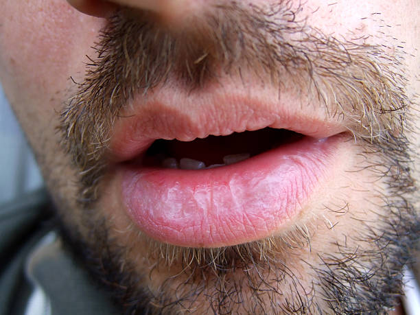 Boussif - Ligerz - Berne | Club Echangiste