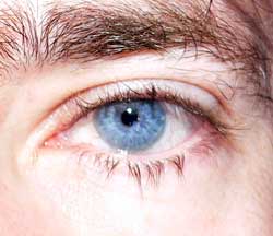 Abdelwahed - Eppenberg - Soleure | Club Echangiste